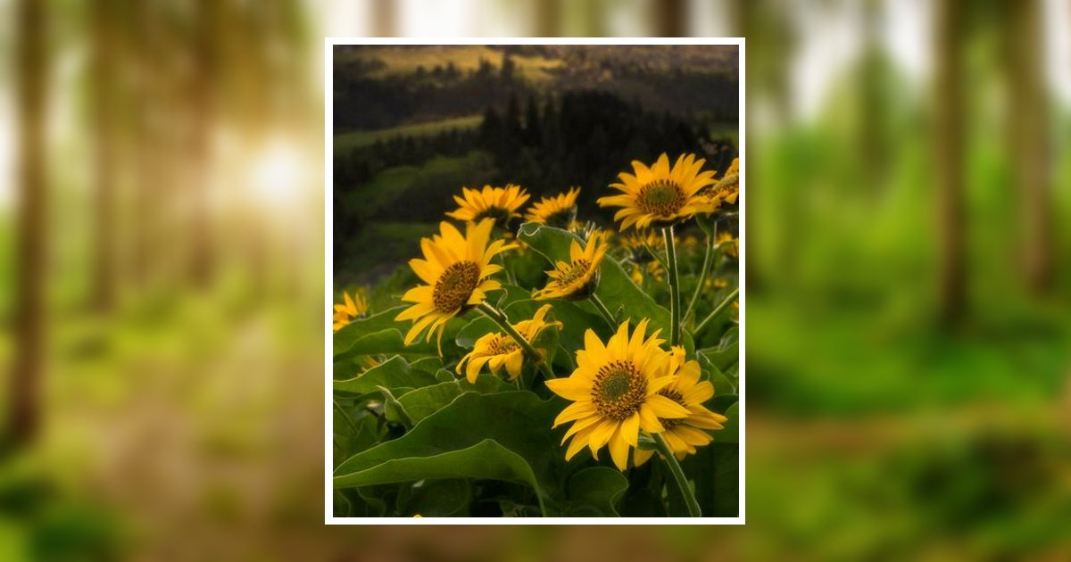 Vonda Marie Weeks Obituary 2023 Coleman Funeral Home