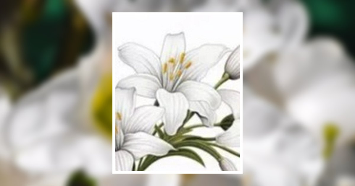 Lily Grace Wall Obituary, Troy, NC