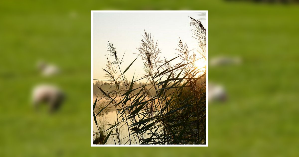 Herbert W. Burnham Sr. Willimantic, CT Obituary