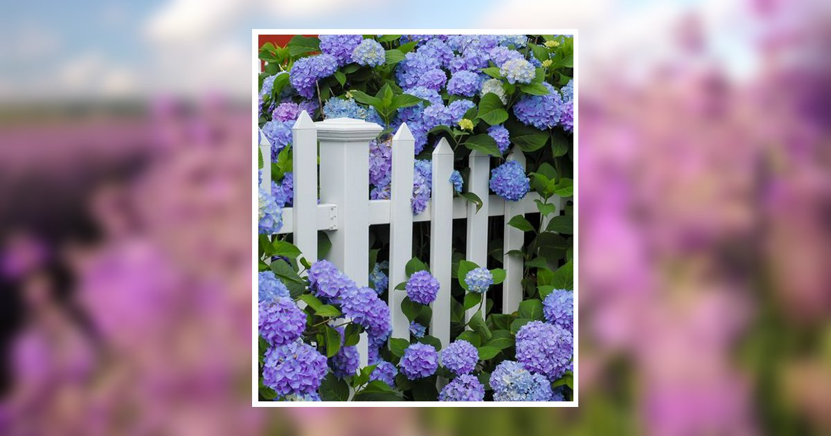 Patricia Ann Schiebe Ringlund Obituary, Roseboro, NC