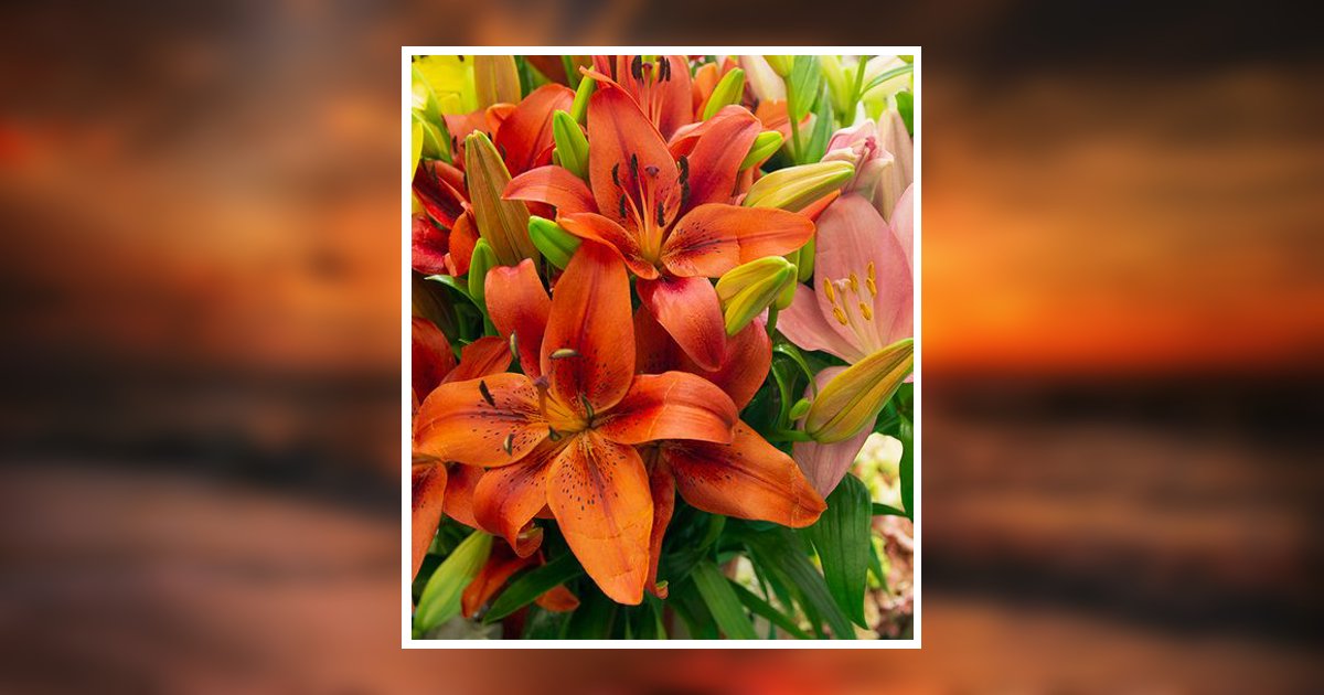 Leslie Alpert Michael