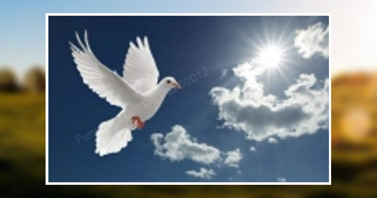 Luis Perez Obituary 2012 Funeraria Luz De Paz