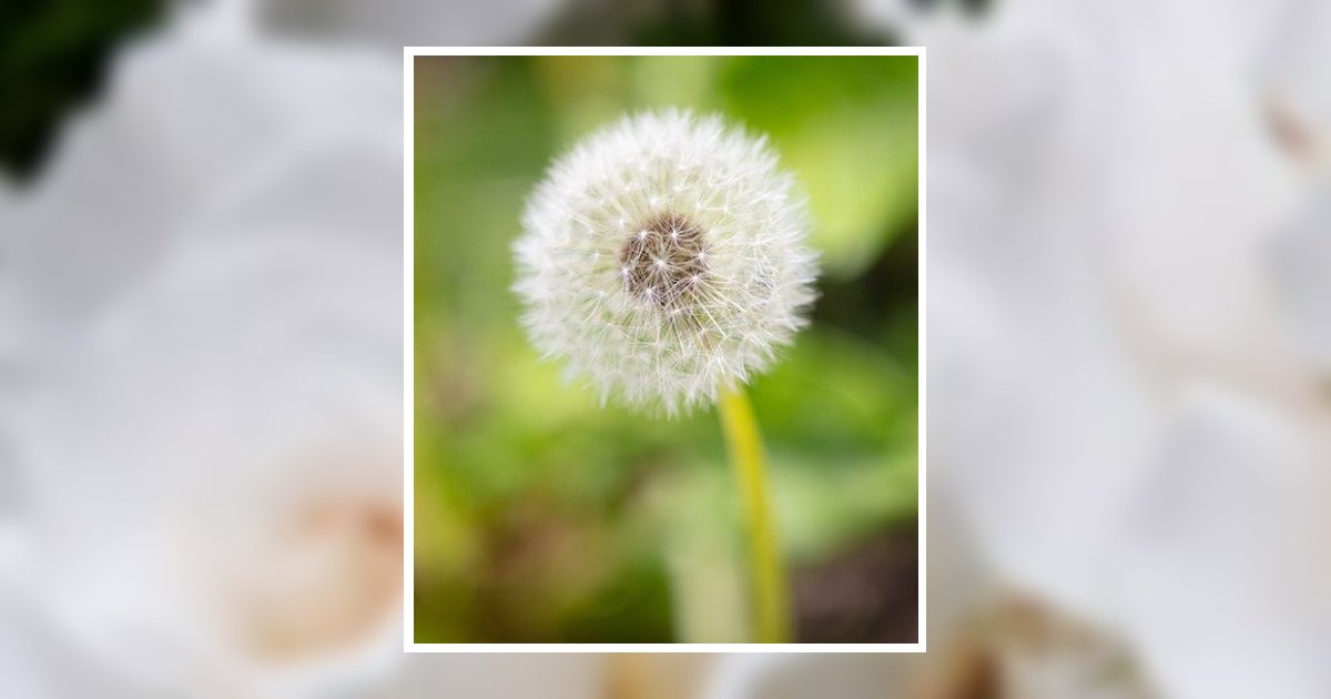 Vickie Elizabeth Banegas Obituary, Las Vegas, NV