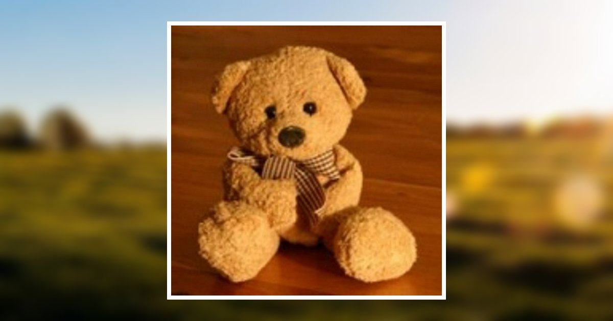 Luke And Noah Fletcher Obituary 2016 Hooper, Huddleston & Horner