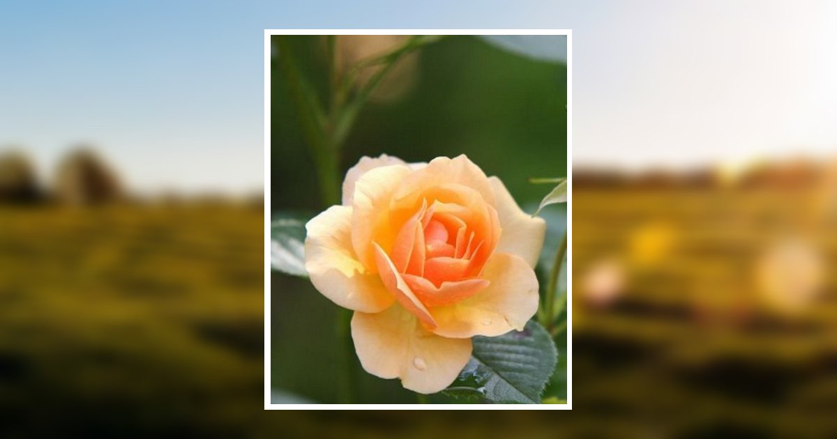 Teresa Ann Tesson Obituary, Hannibal, MO