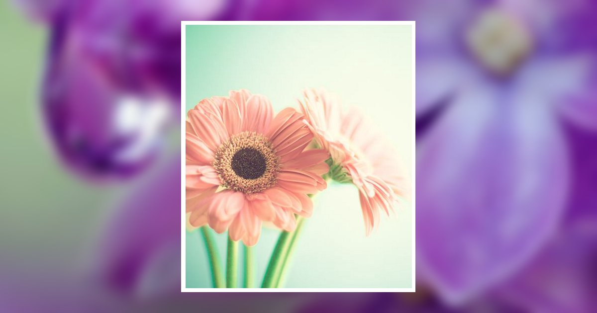 Peggy Ann Shields Obituary, Vernal, UT