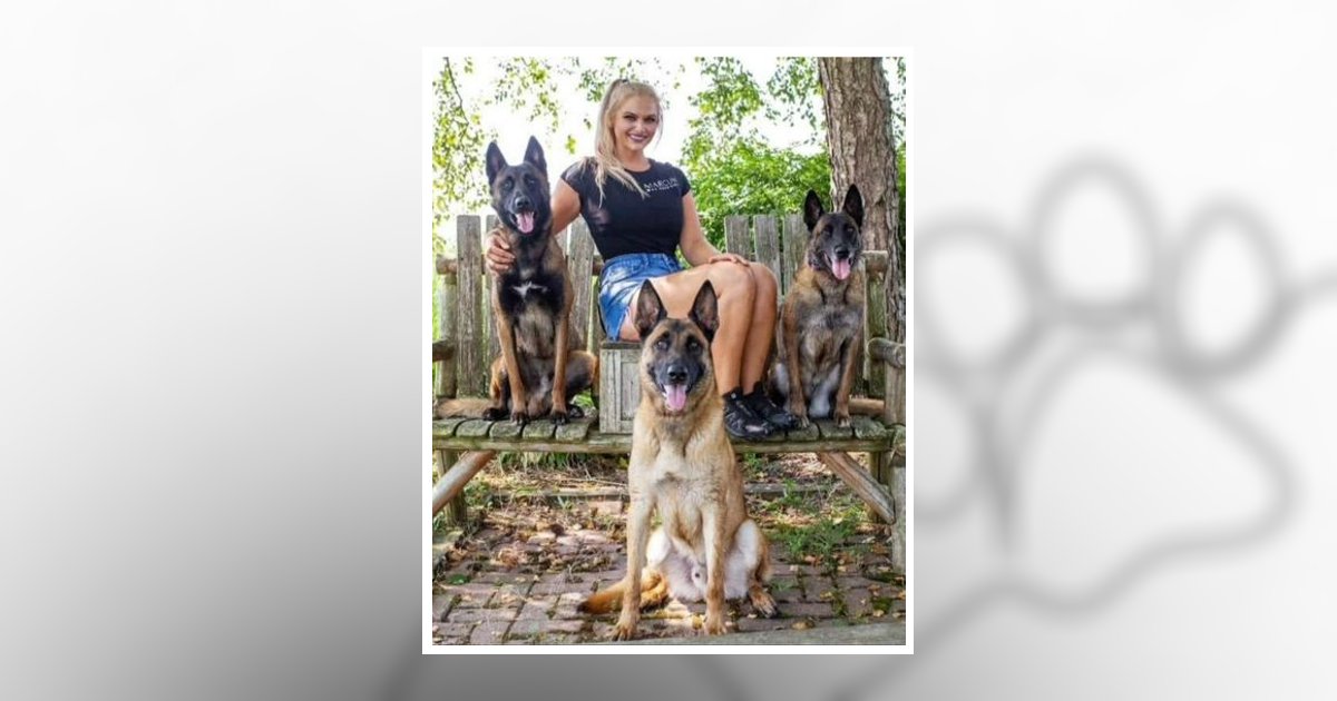 Allison Marie Marcum Obituary, Lancaster, OH