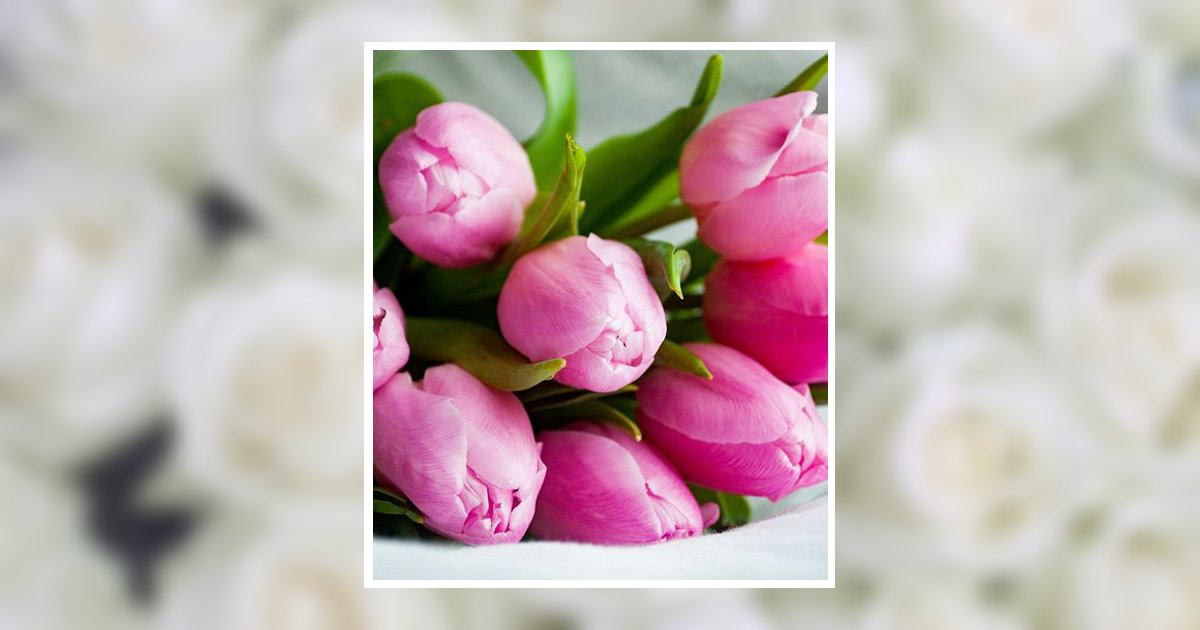 Shirley Ann Reeves Obituary March 2, 2026 - Strohmayer's Funeral Home