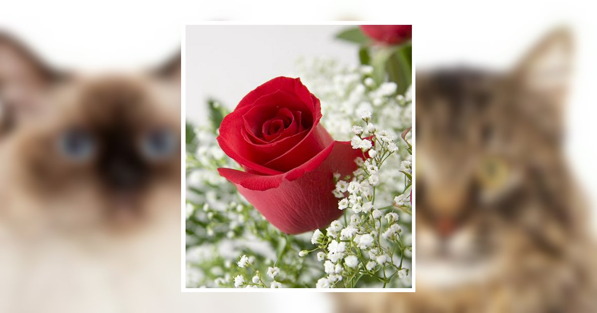 Gayle A. Heinlein Obituary, Cheyenne, WY