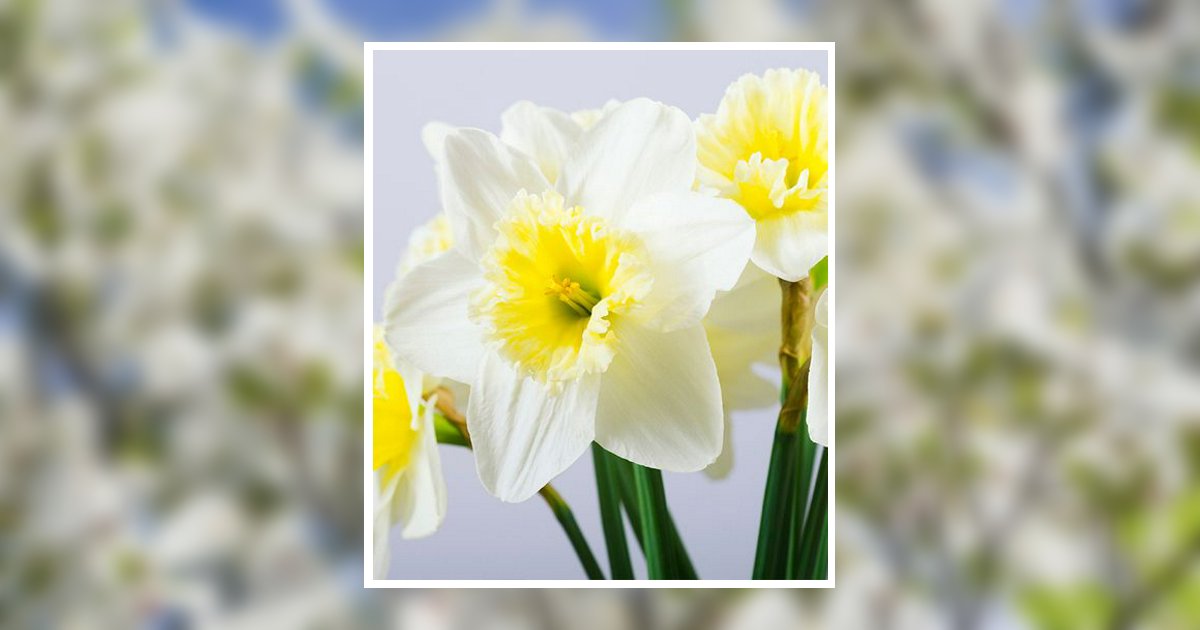 Portrait of Theresa Marie Thornton