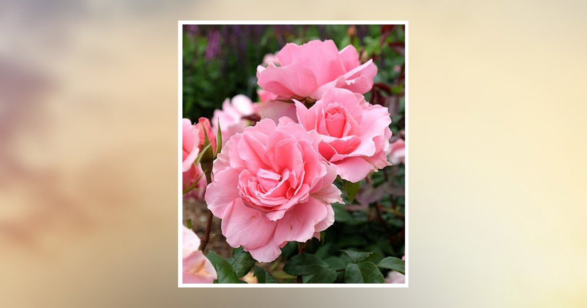 Ruth L. Dinnison Obituary, Wellsboro, PA