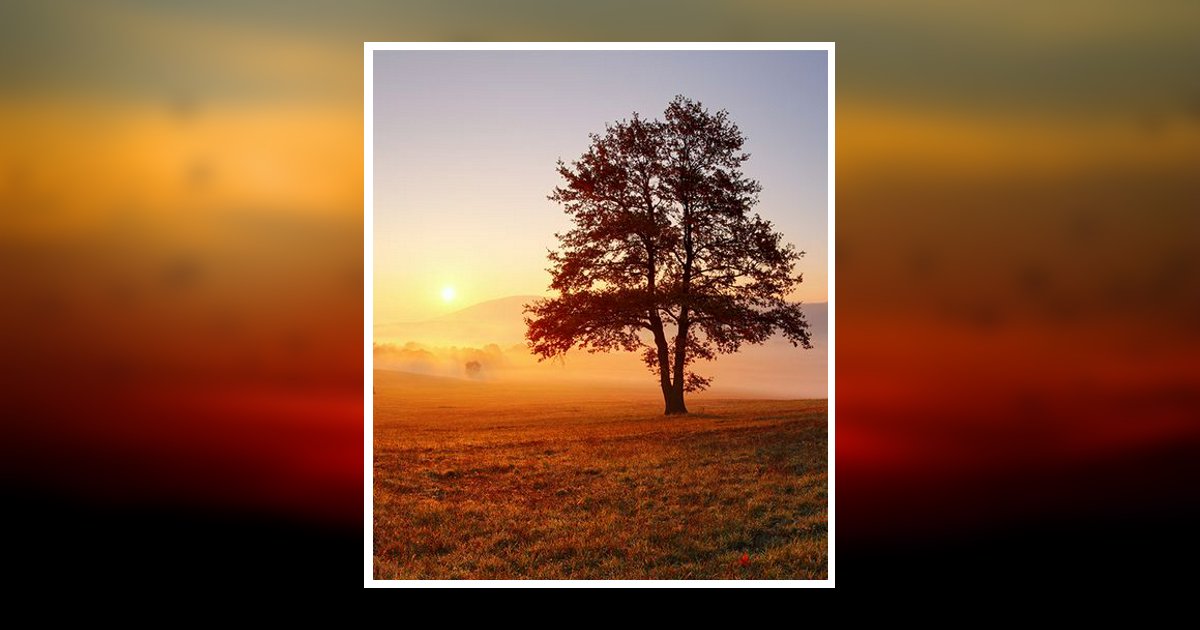 Robert E. Mccabe Obituary, Ashville, OH