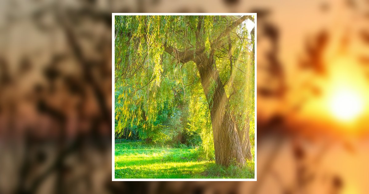 Terry Franich Obituary, Highland, UT