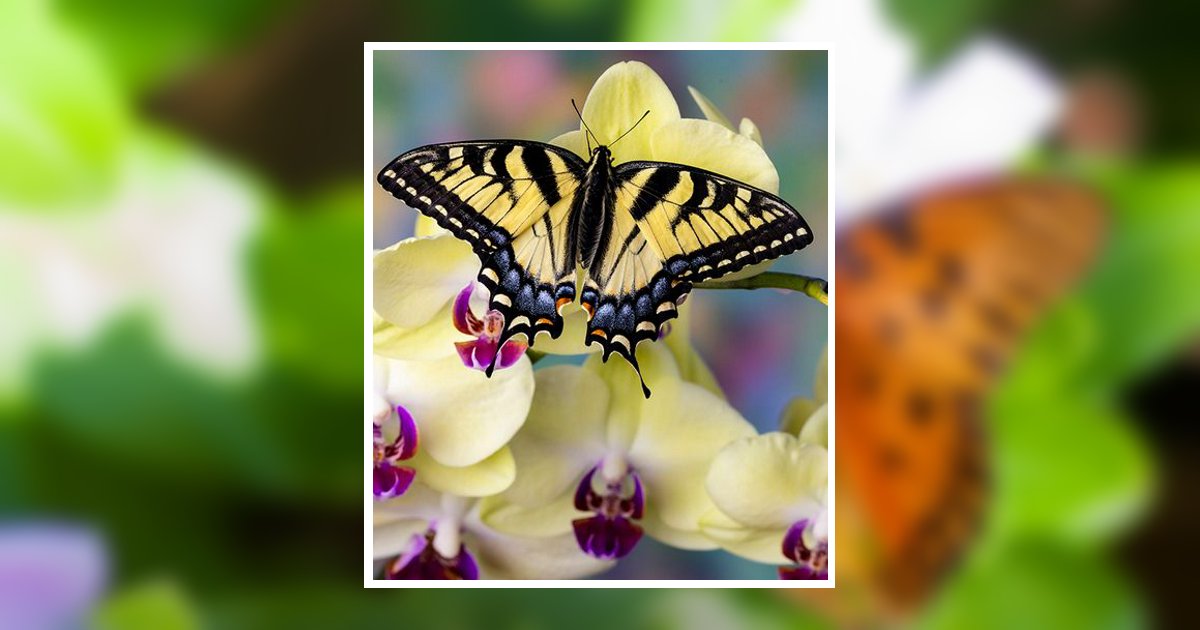 Kathryn "Kathy" Lynn Duncan Obituary, Salem, OR