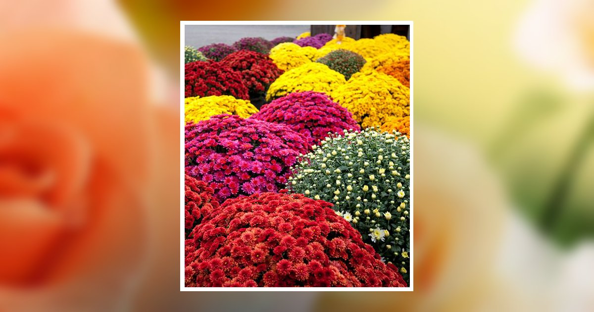 Norma Jean Byrd Obituary, Fulton, KY