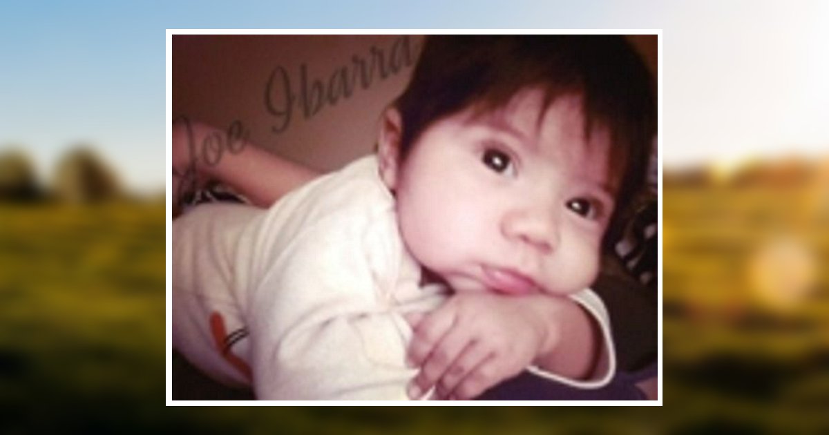 Joe Ibarra Obituary 2014 Pace Stancil Funeral Home and Cemetery