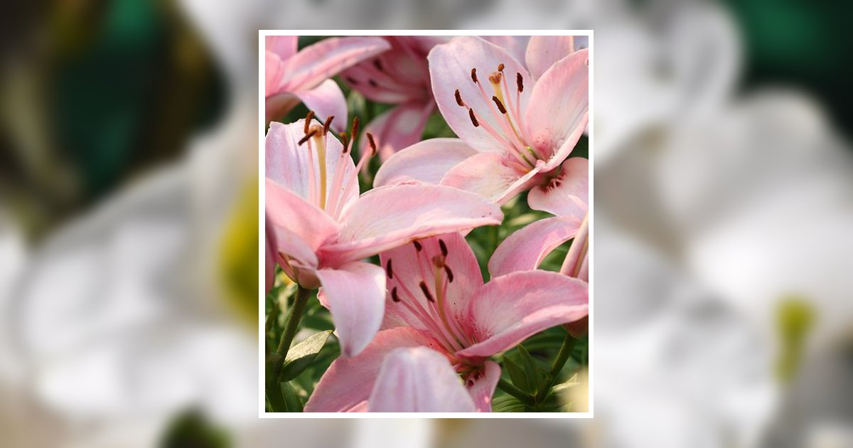 Sheryl Ann Dellandrea Obituary, Mount Pleasant, TX