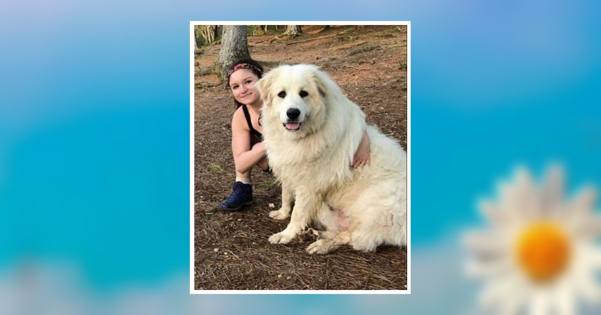 Carmen Davisson Provost Obituary 2023 Dickson Funeral Home