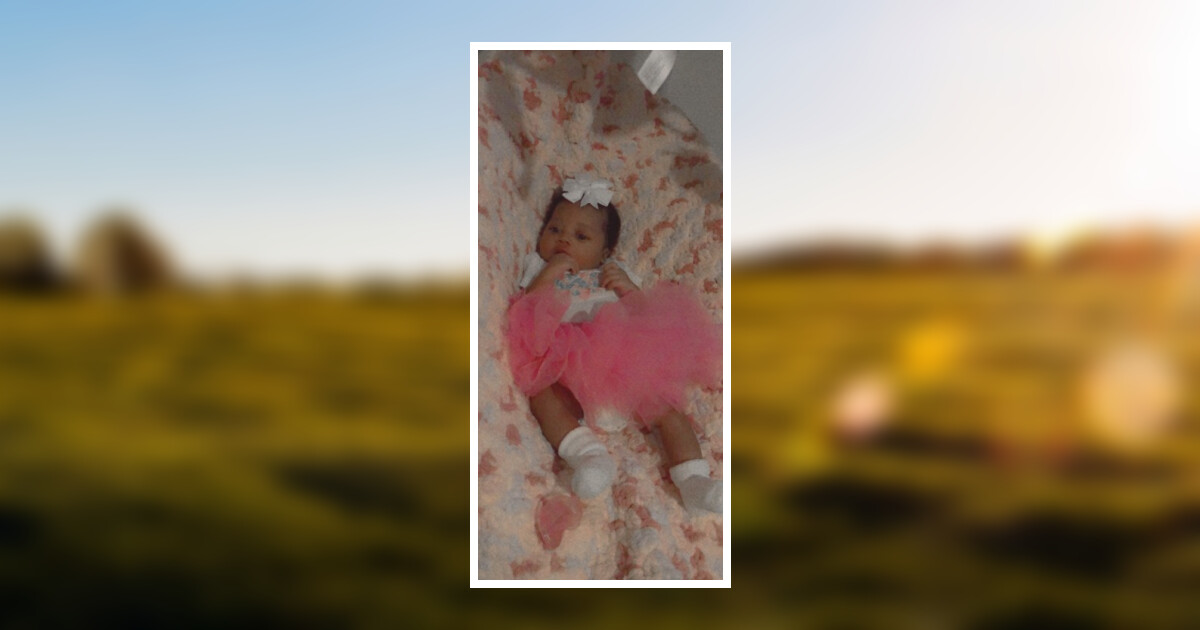 Paislee M. Alexander Obituary 2020 - Husband Family Funeral Home