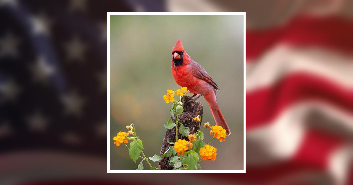 Allan Paul Mcquilkin