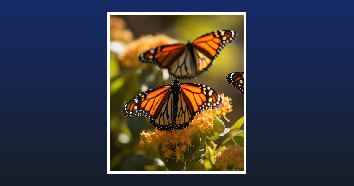 Nadine Gladden Sutherland Obituary, Great Falls, SC
