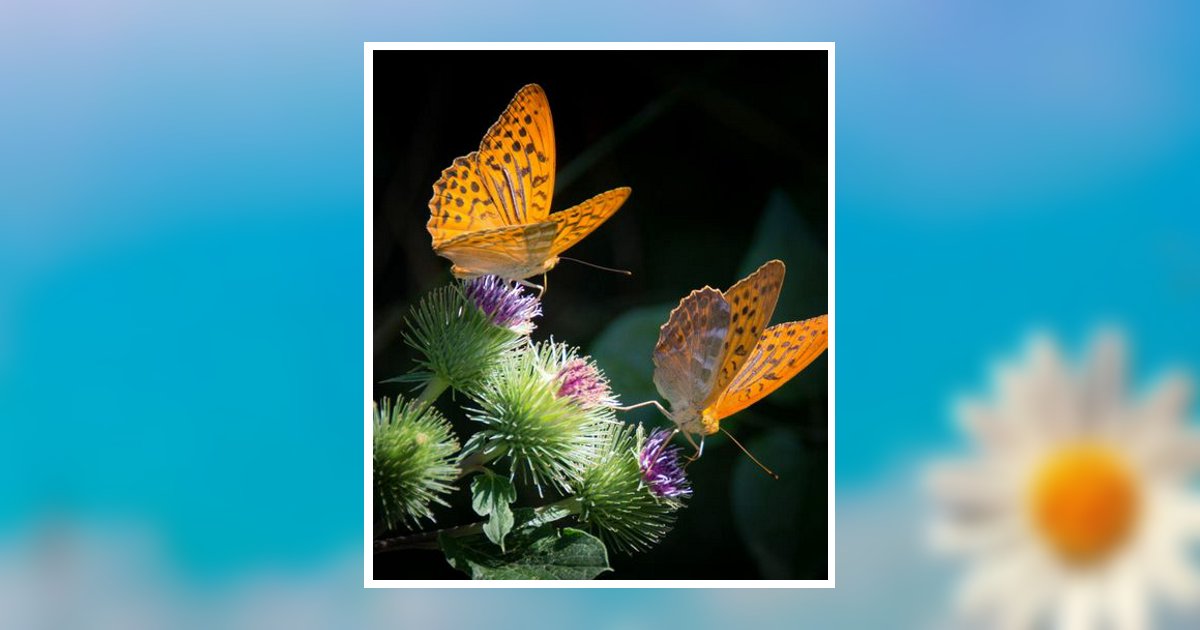 Caroline Wanda Nizborski Wallmark Obituary, Morton, MS