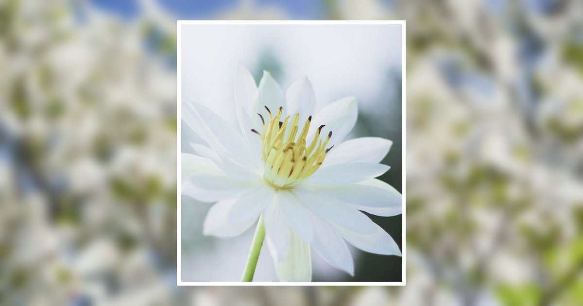 Paulamai Todd Claudis Shreveport, LA Obituary