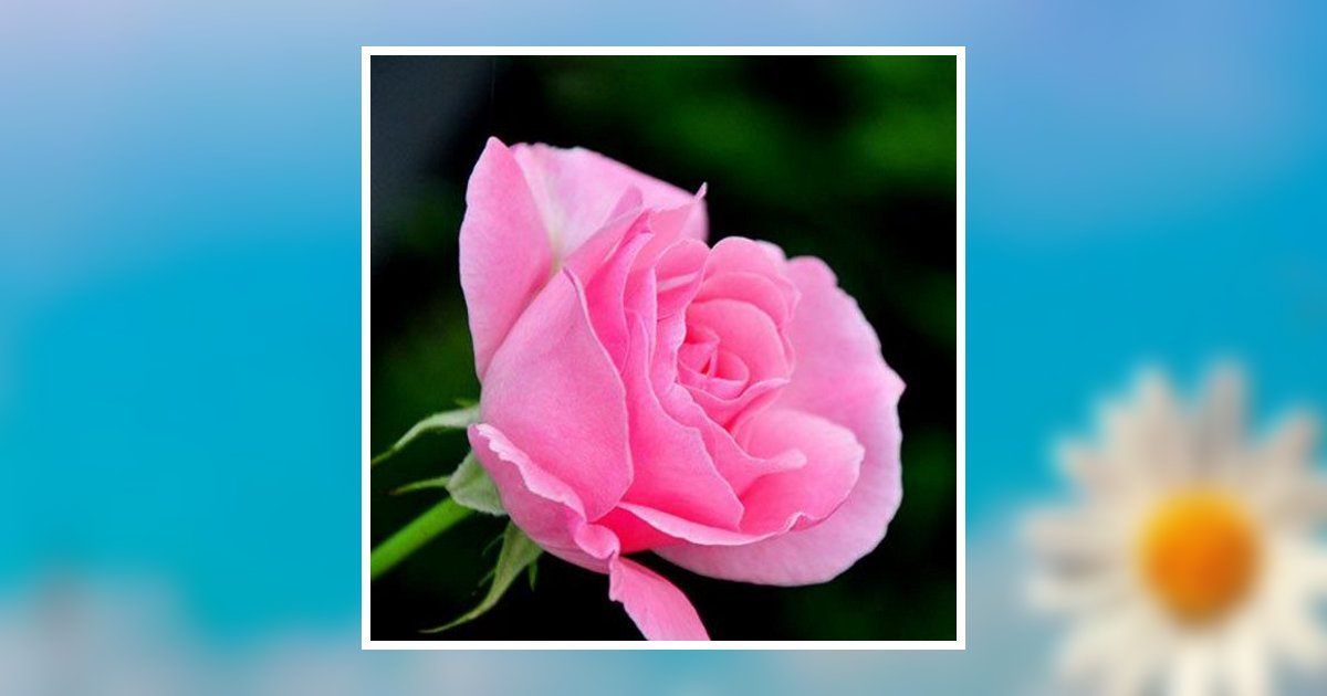 Mrs. Roseann B. Wye Pavlick Obituary, Fleetwood, PA