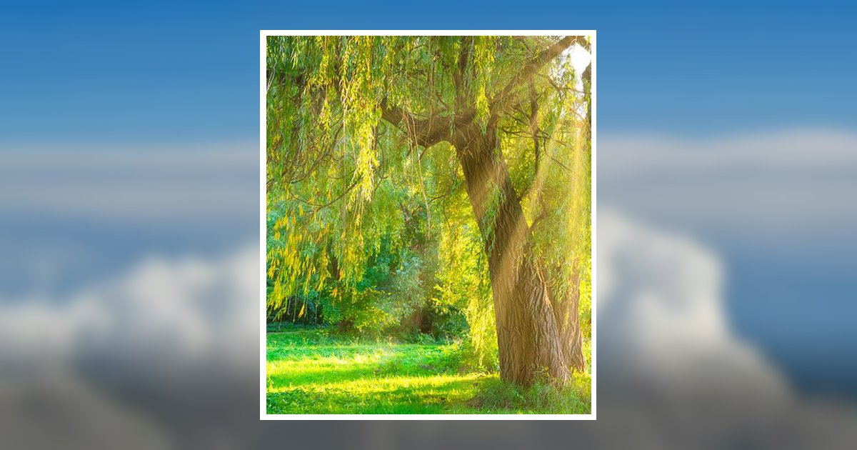 Sr. Dustin Lance Edwards Obituary, Bellville, TX