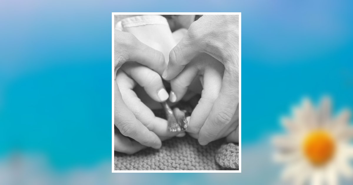 Hawthorne Bridger Fields