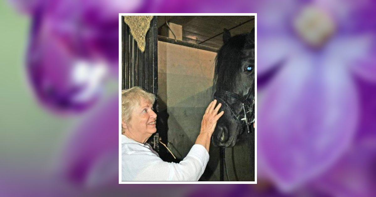 Patricia N. "Pat" Rook Obituary, Akron, OH