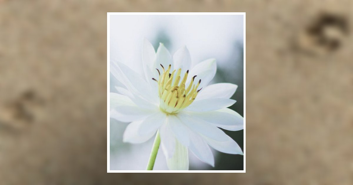 Janice Louise Lauer Hicks Obituary, Glenshaw, PA