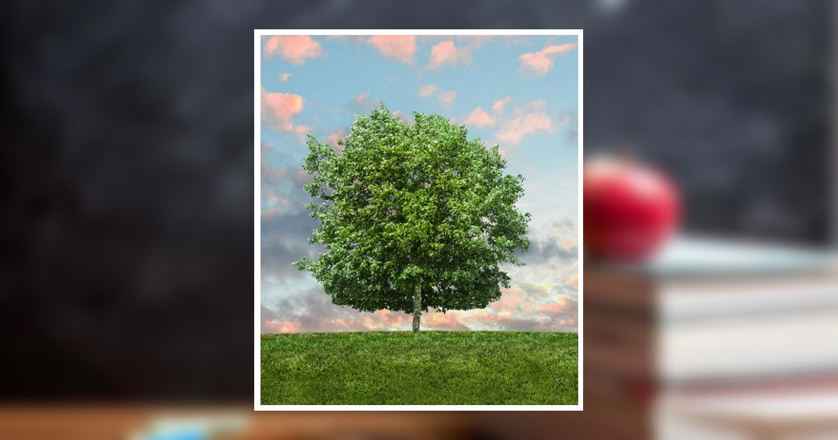 Nancy J. Klemme Obituary 2024 Flanner Buchanan Funeral Centers