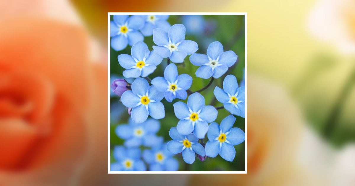 Paulette Anderson Obituary, Fergus Falls, MN