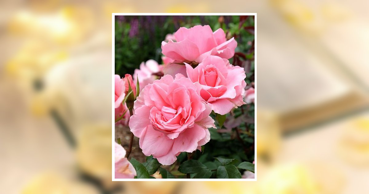 Mae Lamberth Obituary, Winter Park, FL