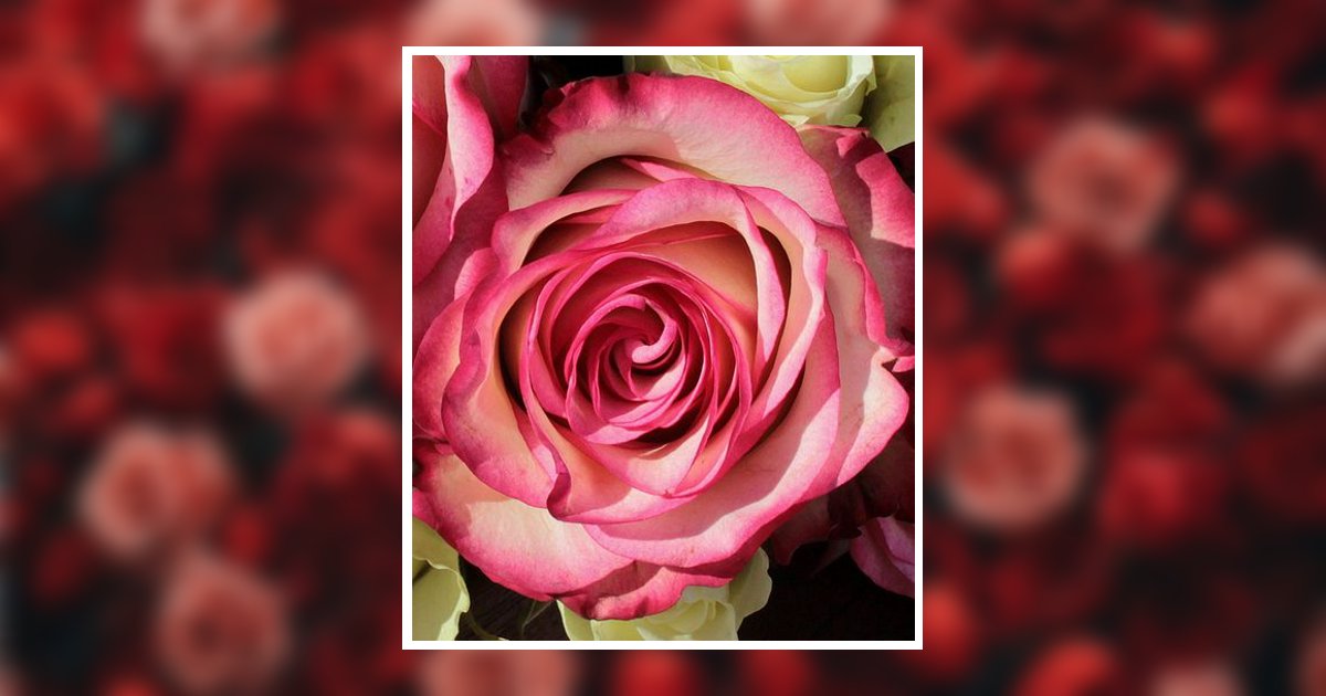 Shirley Mentusky Obituary, Bensalem, PA