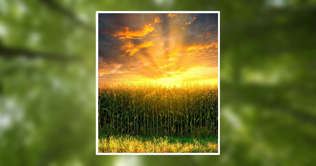 James Stevenson Gibson Obituary, Barbourville, KY