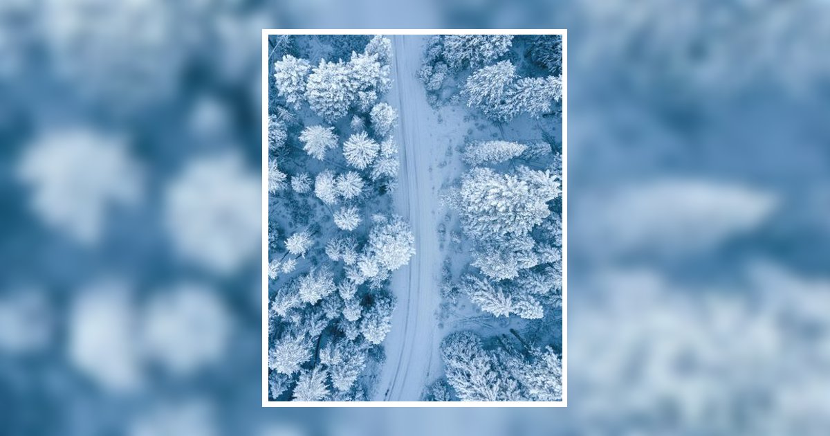 Randy "Bud" Smith Obituary, Adamsville, TN