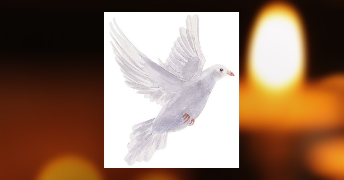 Alejandro Benito Aguilar Vergara Obituary, Las Vegas, NV