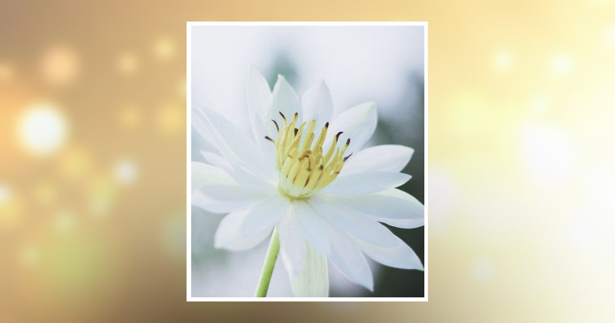 Dana Diane Gray Obituary 2024 Tapp Funeral Home