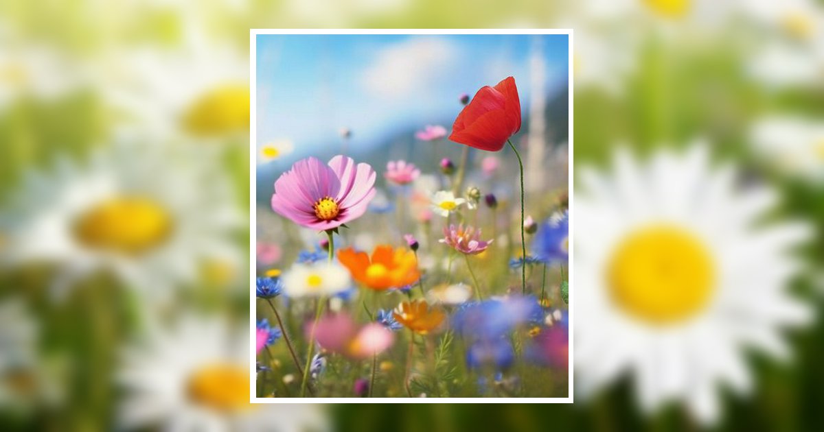 Patricia Murphy Gravois Obituary, Erath, LA