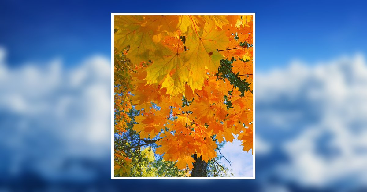 Pat Avon Tucker Obituary, Athens, TN