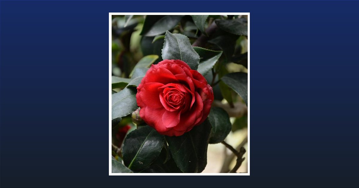 Varie D. Bailey Obituary, Amory, MS