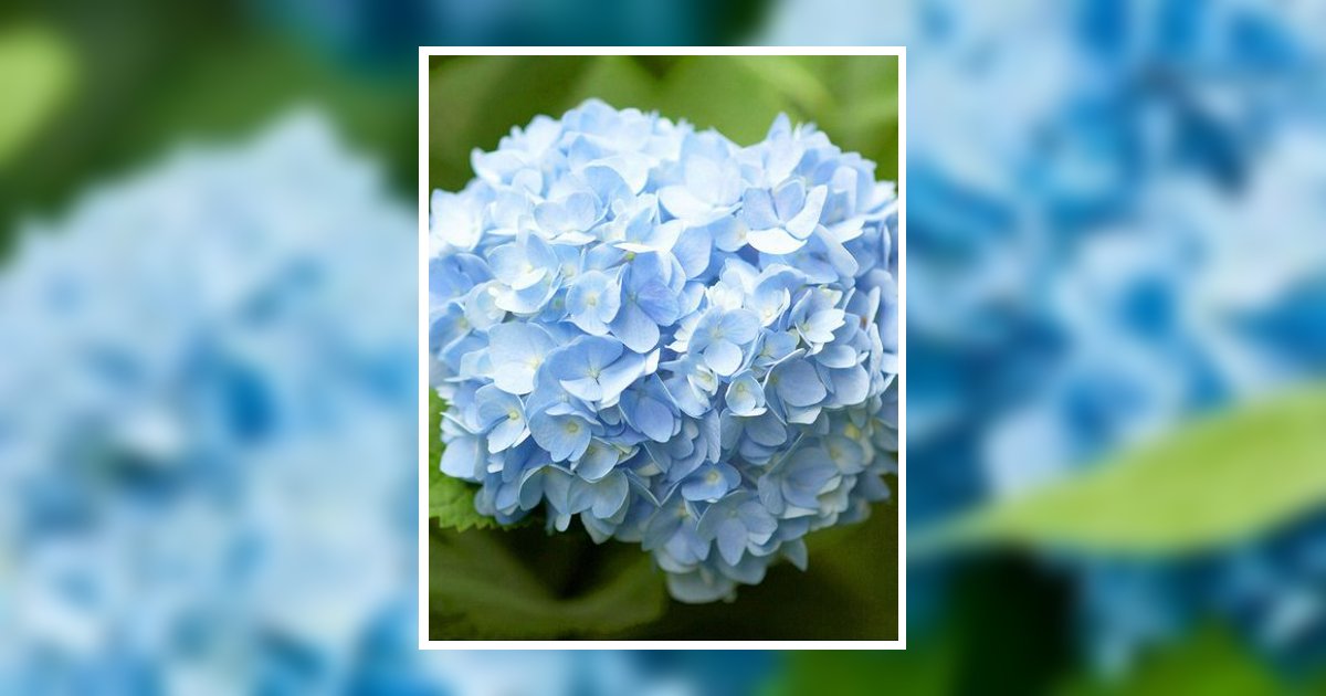 Marie M. Boykin Obituary 2024 J Henry Stuhr