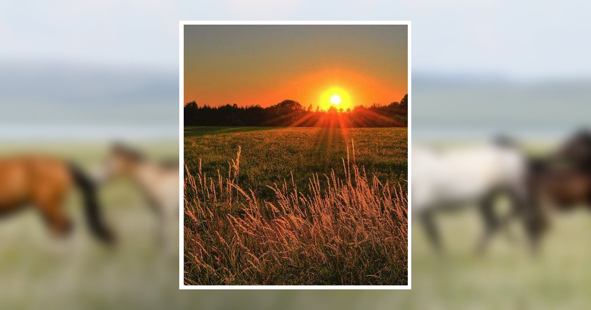 Deborah "Debbie" Thorson Obituary, Lewiston, MN