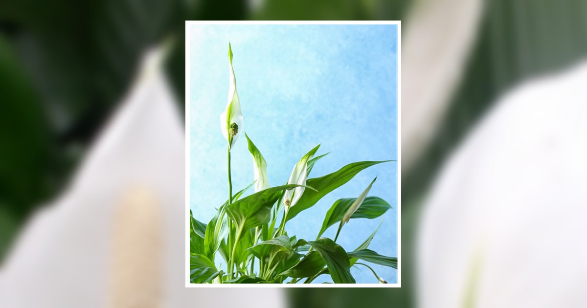 Bruce McCaw Howe Obituary January 10, 2024 - J Henry Stuhr