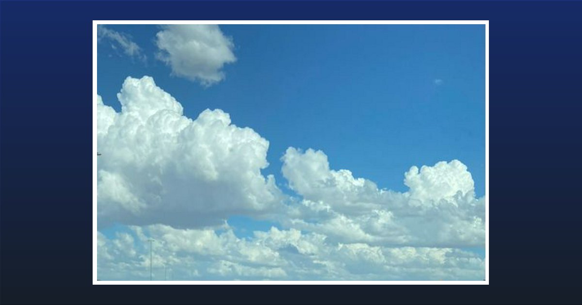 Carol Stewart Obituary, Holbrook, AZ