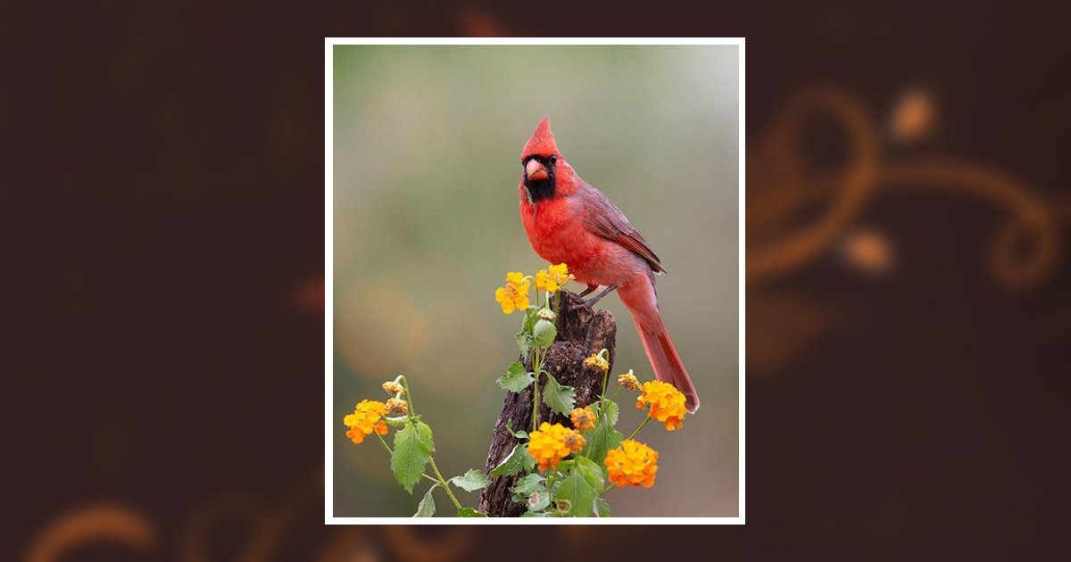 James "Jim" M Adkins Obituary, Oak Hill, OH