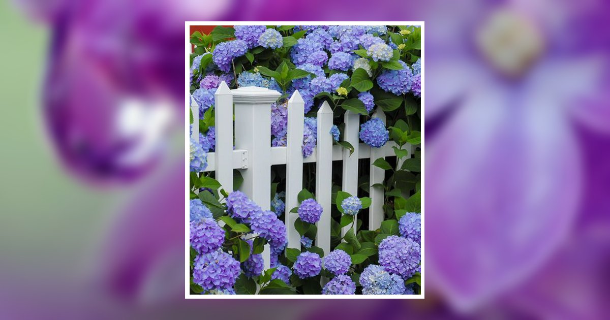 Betty Ann WilliamCurtis Obituary, Las Vegas, NV