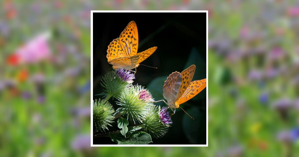 Sandra Crawford Manchester, KY Obituary